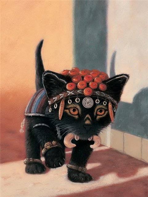 Martijn van der Linden