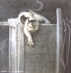 20090714_b2ea2773f0e6cd167b88mBOnoodHfWHE