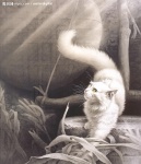 20090714_cd9d56d704b9381fca93RGY3RXOY8hvS