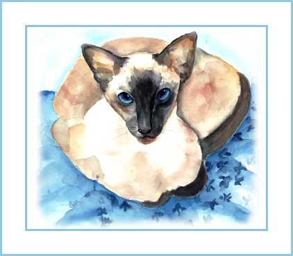 siamese