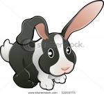 stock-vector-a-vector-illustration-of-a-cute-lovable-bunny-rabbit-12233773