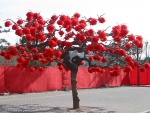 china_ny_04_b