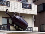 Токио _Жук Allomyrina dichotoma на жилом здании на улице Каппабаши-дори (Kappabashi-dori).