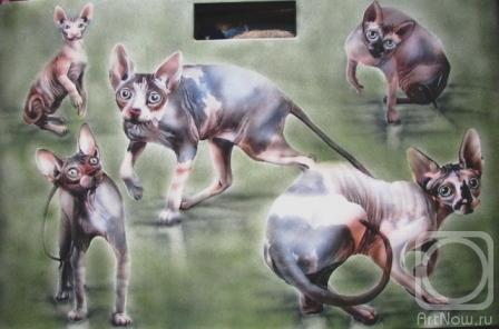 Горенкова Анна _ Кошки