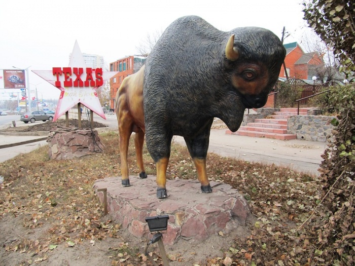 Бизон  на улице Клочковской, возле ресторана ТЕХАS