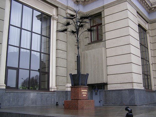 Пальма "Мерцалова"