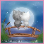 kotiki-spinoj-slityj-copy