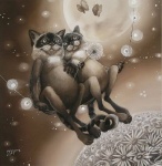 47482329_11Zemnoe_prityazhenie