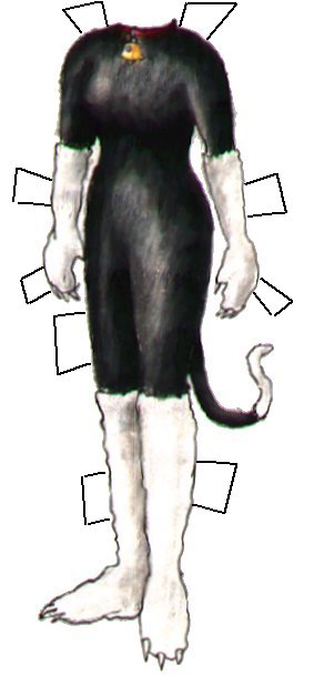 misc-costume-2
