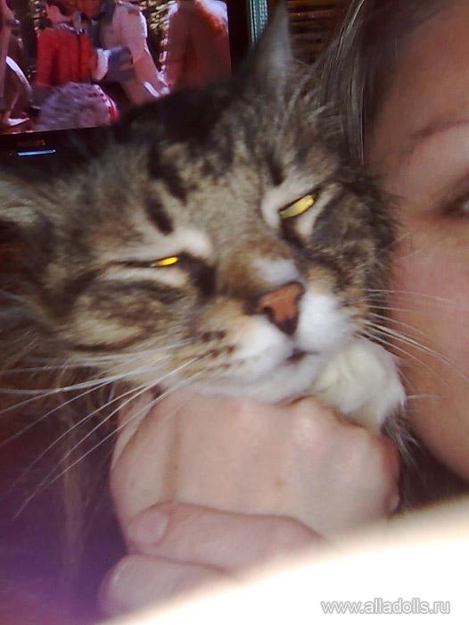 Кузя. Опять телячьи нежности