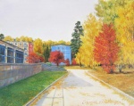 Золотая осень. Академгородок
