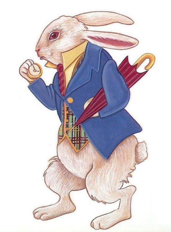 2974353100105555159WfDiMV_ph