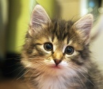 0_66396_ea382a75_-1-XL