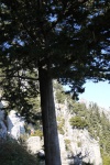 P1070868