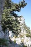 P1070871