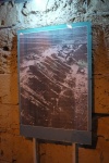 P1070993