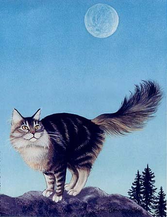 1229705495_moonrise1full