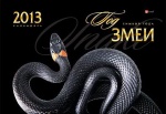 1351591413_god-zmei-kartinki-i-foto-9