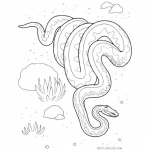 raskraski-zhivotnyh--zmei--08