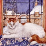 21059-3a5ab-24927880-m549x500