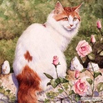 21059-85950-24927883-m549x500