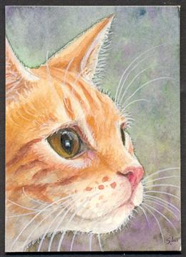 ACEO_Ginger_cat_profile