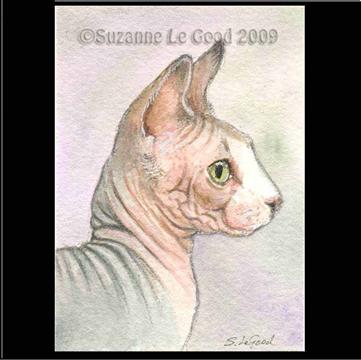 ACEO_Sphynx_cprt