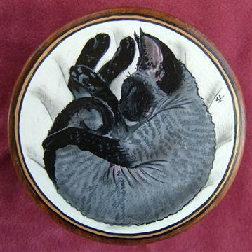 10_box_curled_devon_1