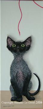 Canvas_Dev_Wool_Copy