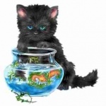 FISHBOWL-KITTYwht