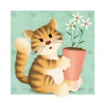 кошки, коты, котята