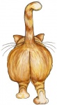 Cat Bum