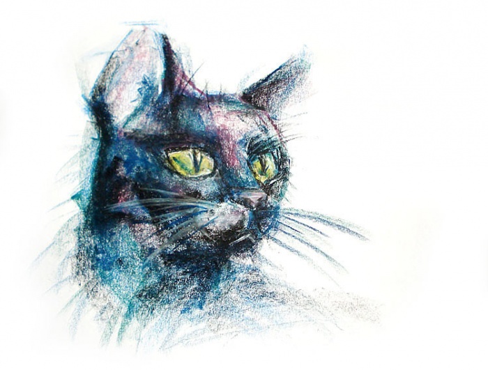 Гаязова Диана _ Черный кот