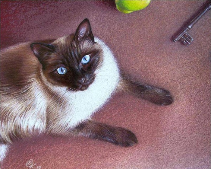 6f9154ba3ca78c548f2b43dc7875a397bc5f6c143104770