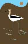 60512477_avocet