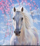 ba82aa38fa7366e0ed1e7998df33d76e5bc08382245579