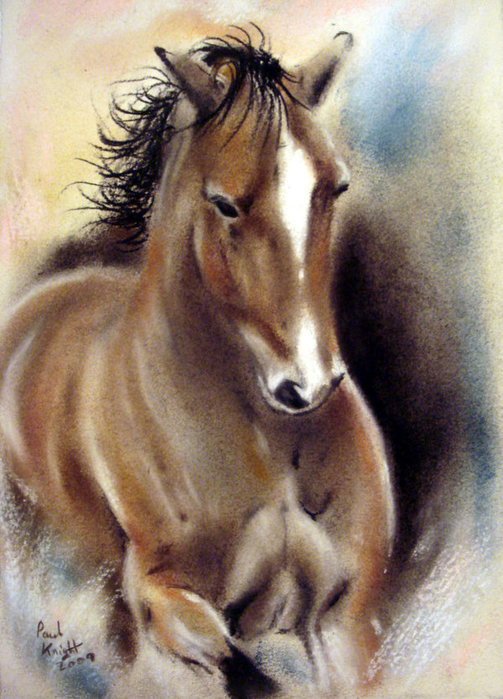 51030745_Running_Wild_by_astarvinartist