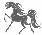 12306871-nfn-n-n--n--n---n---------n------n