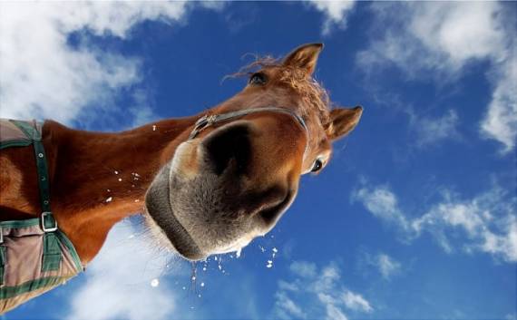 4958cced7a8a276c200dccb0a42a710c