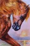 HORSE_13