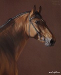 Галерея картин с лошадьми