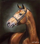 horse_2_7