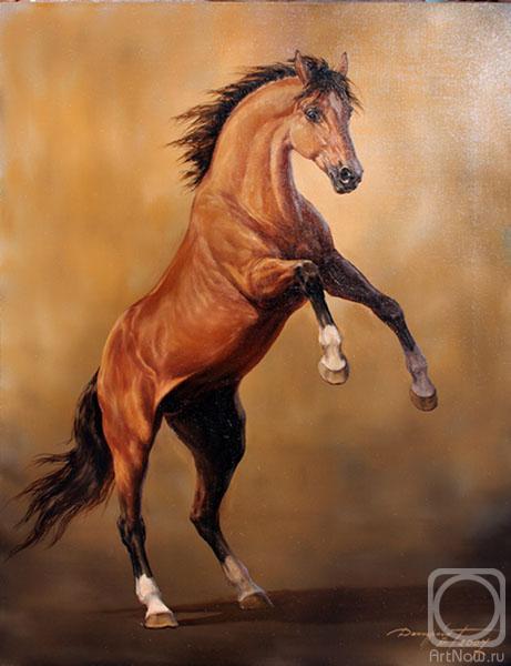 Данчурова Татьяна_Саврасый