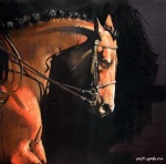 pavlova_В лучах вечернего солнца