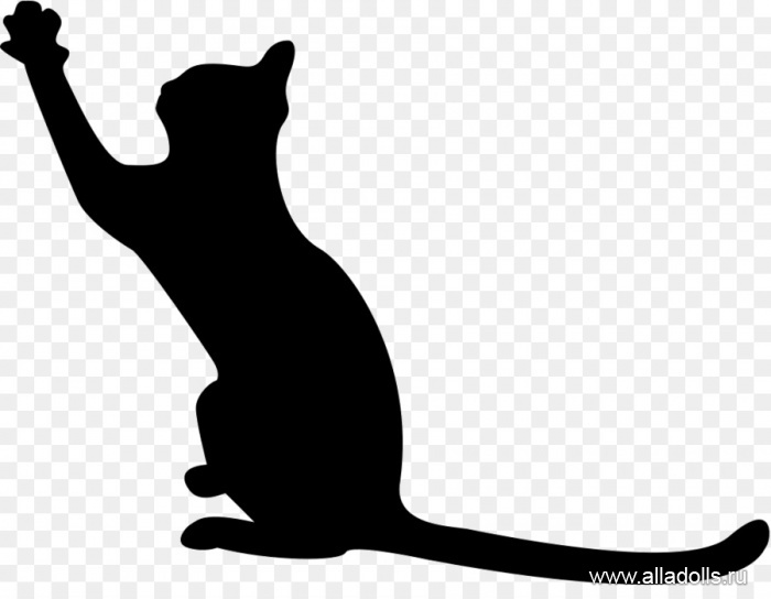 kisspng-black-cat-dog-breed-image-studs-and-queens-5c428b73434999.1113436215478649472756