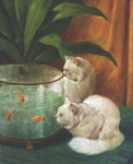 thm_arthurheyertwowhitepersiancatslookingintogoldfishbowlc1297
