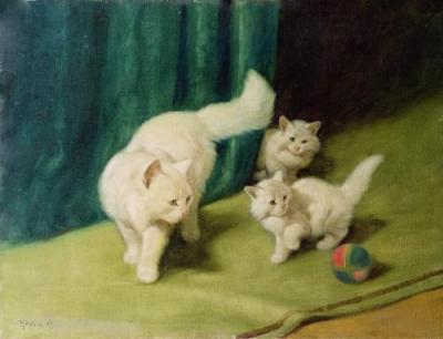 White Persian Cat with Two Kittens