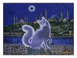 isy-ochoa-angora-cat-istanbul