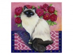 isy-ochoa-burmese-cat-series-ii