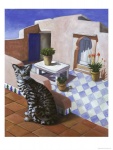 isy-ochoa-cat-of-morocco-chat-du-maroc